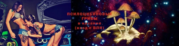 амф Медногорск