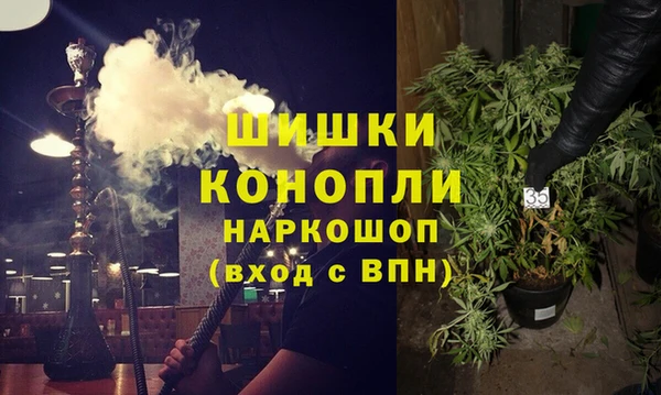 Альфа ПВП Мегион