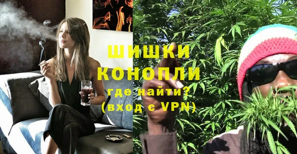 Альфа ПВП Мегион