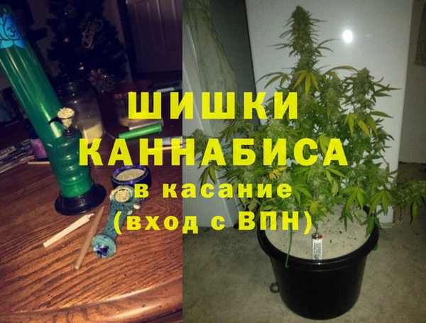 Альфа ПВП Мегион