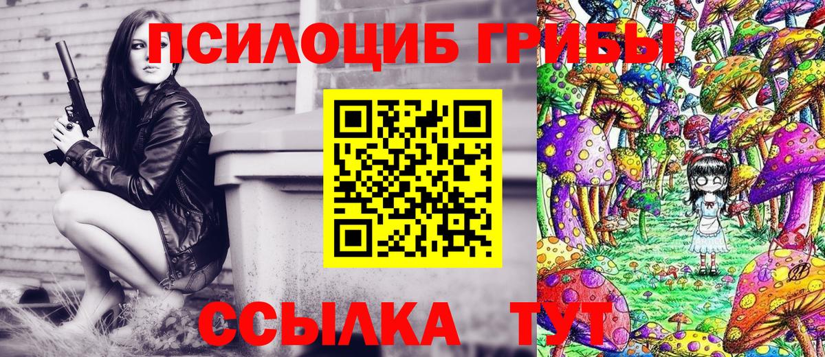 Псилоцибиновые грибы Magic Shrooms  Вход с VPN  где можно купить   Кострома 