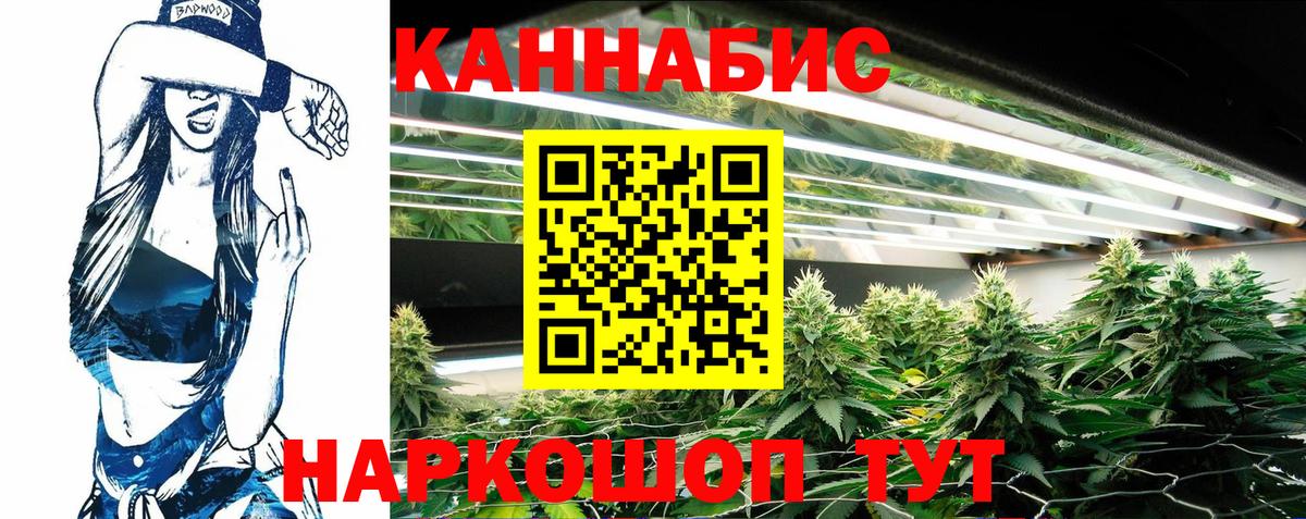 Конопля MAZAR Кострома